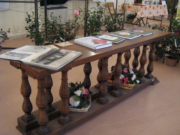 Angera mostra 2007